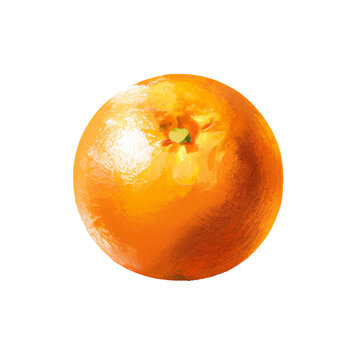 Fruit Clementine Tangerine Orange Food - Isolated Illustration Transparent Background - Digital Painting