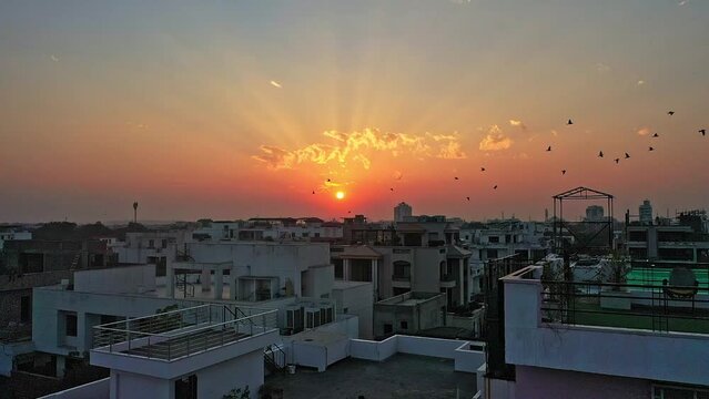 Bird Silhouettes Flying Against Sunset Sky Over Jaipur Old City In India. Aerial Drone Shot