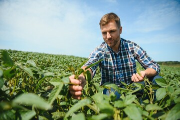 Young farmer in soybean fields