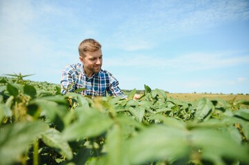 Young farmer in soybean fields