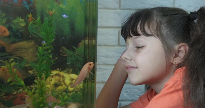 Many fish with plants in aquarium. A view of little girl by aquarium with small colorful cichlides in the room.