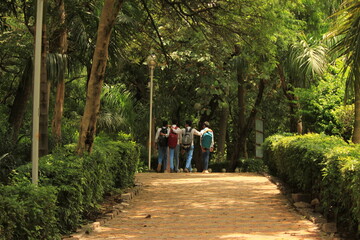 Friends enjoying the freedom of bunking school to take a walk in a historic park