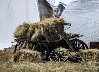 old wagon with hay for horses at equestrian festival