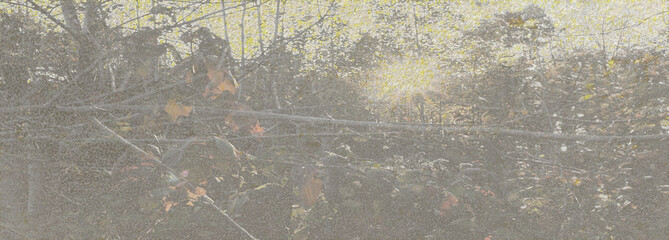 Abstract grunge texture background image.