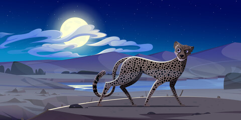 Cheetah at night african desert landscape. Exotic wild animal with spotted fur pattern. Cute gepard walking and looking around for prey under full moon. Watchful wildcat cartoon Vector illustration © klyaksun
