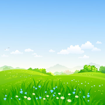 Grassy fields and blue sky background