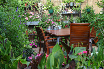 Cosy Little Patio area in the garden with wooden seating area and lots of green plants in planters such a Canna, fuchsias and succulents in shabby chic pots