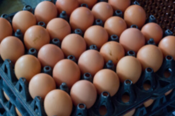 farming, livestock, meat, line, worker, moving, belt, store, industrial, machine, indoor, staple, concept, process, agribusiness, transport, loading, pack, produce, quality, production, egg, food, far