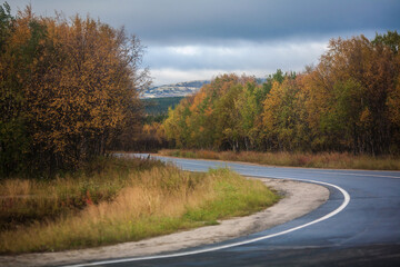 Road to the autumn forest