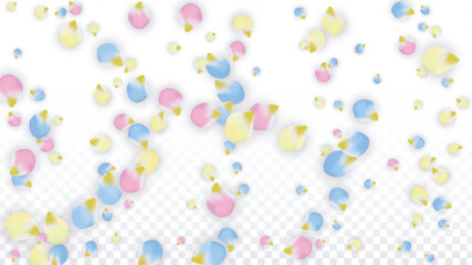 Vector Realistic Colorful Petals Falling on Transparent Background.  Spring Romantic Flowers Illustration. Flying Petals. Sakura Spa Design. Blossom Confetti. Design Elements for Wedding Decoration.