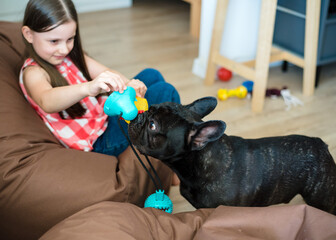 The girl trains the dog at home. French bulldog and owner play and exercise at home