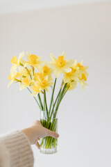 Narcissus flower in a vase in hands