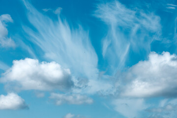beautiful clouds with blue sky with small birds in the frame