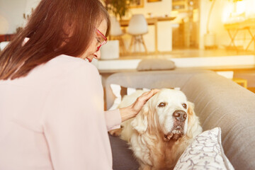 Seniorin streicht Hund als Haustier bei Tiertherapie