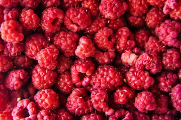 Ripe red raspberries close up. Raspberries background