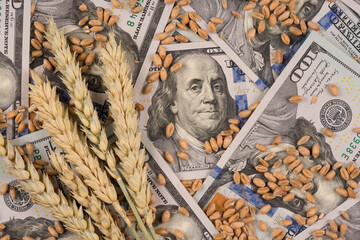 Hundred dollars banknotes with ears of wheat and grain. Global food crisis concept. Increasing prices for food and bread