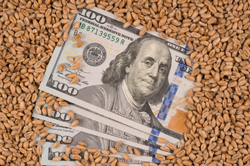 Hundred dollars banknotes over wheat grain. Global food crisis concept. Increasing prices for food...