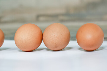eggs on a white background
