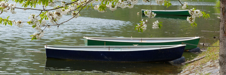 Ruderboote auf dem Edersee, Herzhausen, Hessen, Deutschland