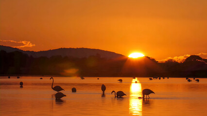 The flamingo in the sunset is a stunning image. 