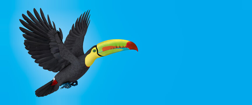 3d illustration of Keel-billed Toucan on blue background