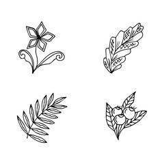 set of hand drawn doodle plant elements for floral design concept