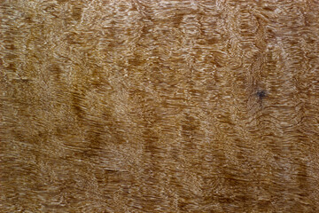 Plywood background and texture