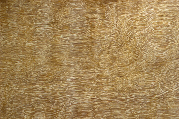 Plywood background and texture
