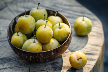 Greengage in bowl. Fresh harvested fruit. Ripe green plums