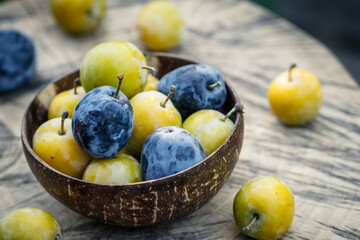 Greengage and blue plum in bowl. Harvested homegrown ripe fruits