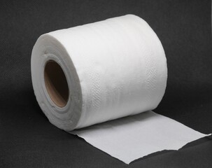 roll of toilet paper