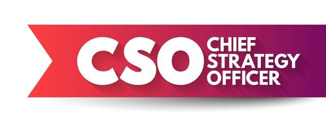 CSO Chief Strategy Officer - executive has primary responsibility for strategy formulation and management, including developing the corporate vision and strategy, acronym text concept background