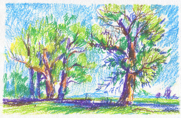 group of trees in summer in horizontal format