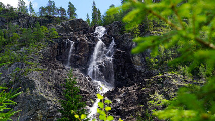 Fototapeta premium Scenery scene of water hidden deep in the forrest fill with green tall trees nature 