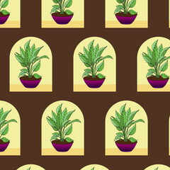 Vector pattern dieffenbachia.Pattern home plant in a pot. For print and web.