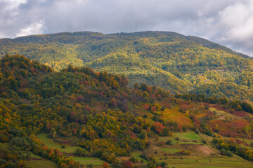 Obraz premium mountainous carpathian countryside in autumn. forest in fall foliage and rural fields on steep hills. beauty of colorful outdoor nature scenery in dappled light