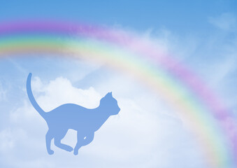 happy kitten on the rainbow bridge
