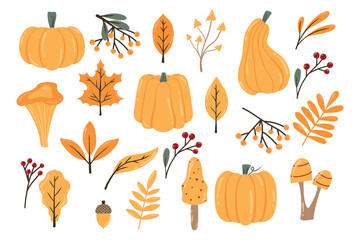 Autumn set. Autumn pumpkins, leaves, berries and mushrooms. Drawn style. Collection of autumn plants. Vector illustration.