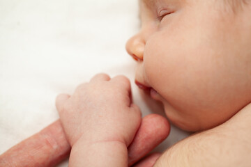 Sleeping newborn is holding father's hand, top view