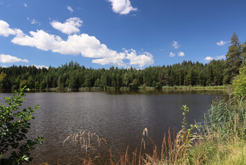 Fototapeta premium Auweiher