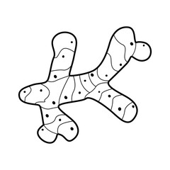 Flat vector linear illustration of ginger in doodle style on a white background.