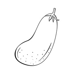 Flat vector linear illustration of eggplant in doodle style on a white background.