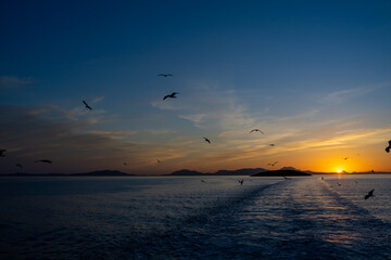 Silhouettes of Seagulls flying above sea near ship at dusk time.