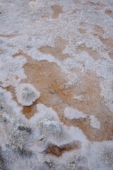 pink salt on saline top view