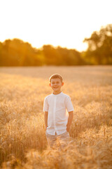 Adorable little blonde boy 8 years old in the sun at sunset in a wheat field. Happy child outside. Walk. Warm summer. Emotions.