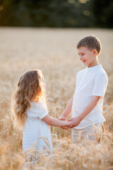 Adorable little boy and girl in the sun at sunset in a wheat field. Happy kids outside. Walk. Warm summer. Emotions.