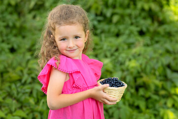 little cute happy girl holding basket of wild blueberries. child eating fresh forest berries in summer. superfood vitamin A for eyes, vision. healthy food for kid, harvesting