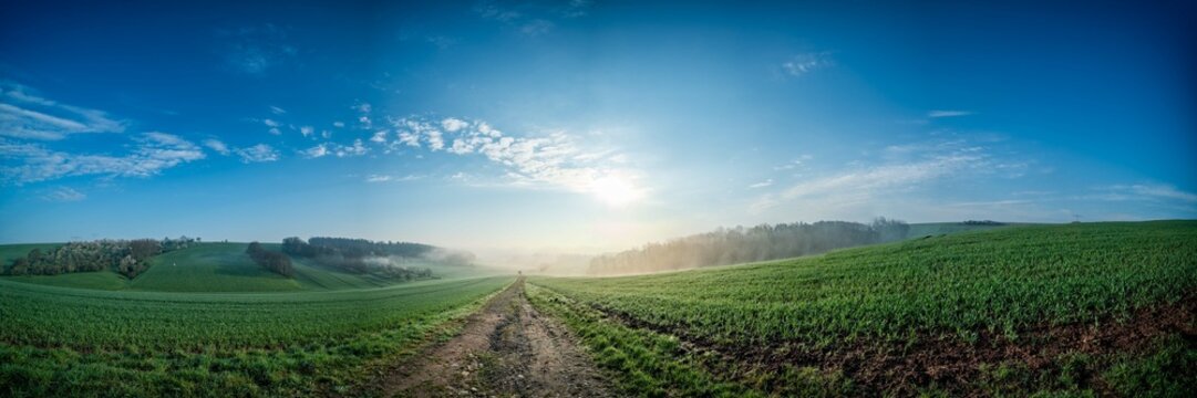 panorama of a green spring field in the early morning with the rising sun