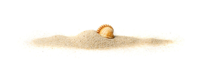 Seashells in Sand Pile Isolated