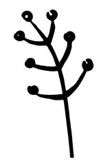 Vector doodle grass branch, berry, inflorescence, black and white drawing, sketch.